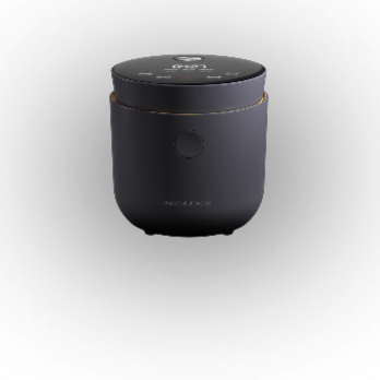 Götze & Jensen - Ryżowary